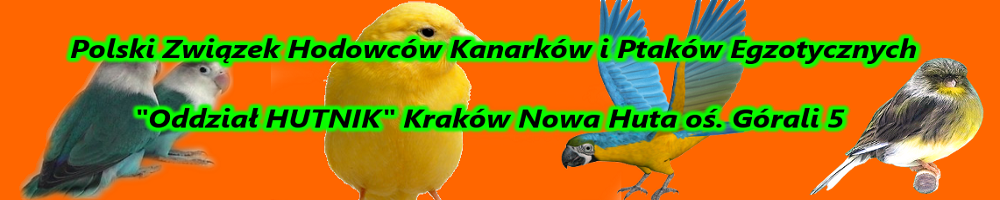 Maopolskie Stowarzyszenie Hodowcw Kanarkw i Ptakw Egzotycznych oddzia "HUTNIK" Krakw Nowa Huta